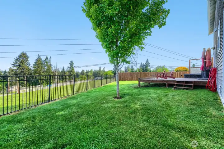 Level back yard