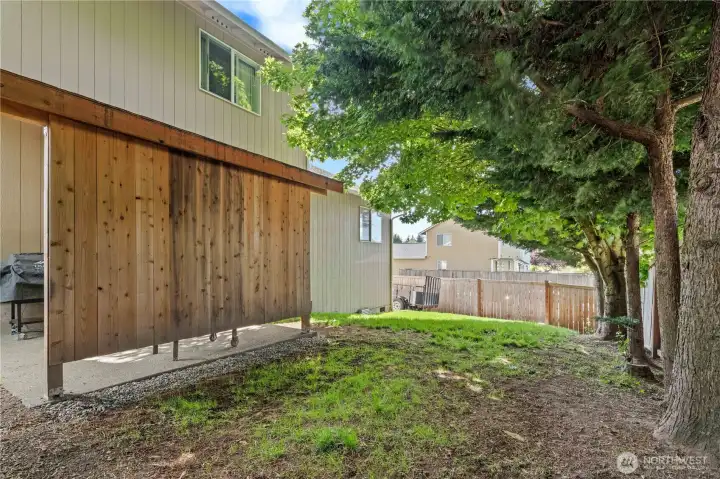 Back yard, and back side of covered patio