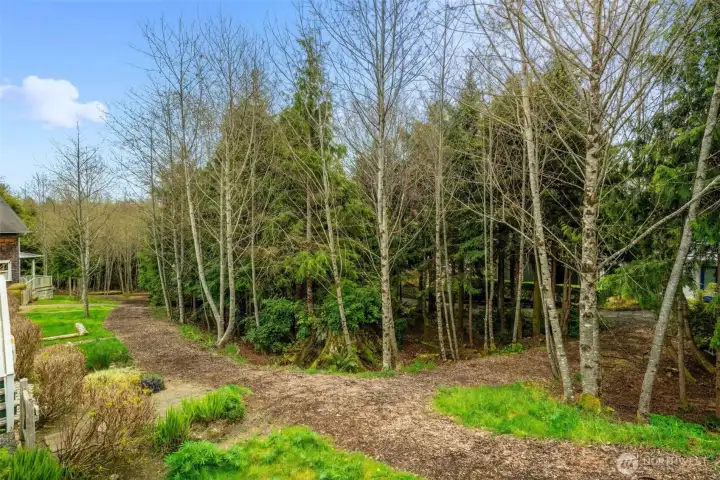 So many great trails; to the amenities (pools, etc.) and they are themselves amenities. So many great trails; to the amenities (pools, etc.) and they are themselves amenities.