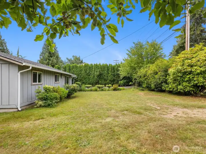 Spacious 14,375 SF Lot Spacious 14,375 SF Lot