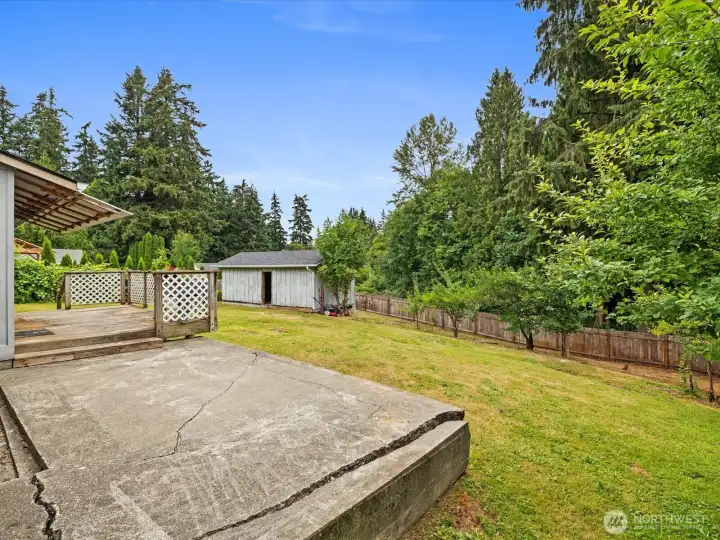 Spacious backyard Spacious backyard