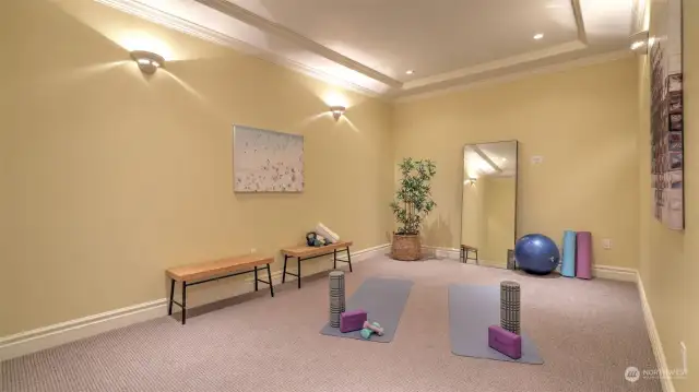 Gym or Theatre Room!