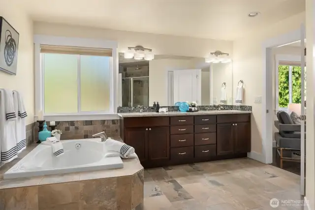Primary Spa Inspired Bath