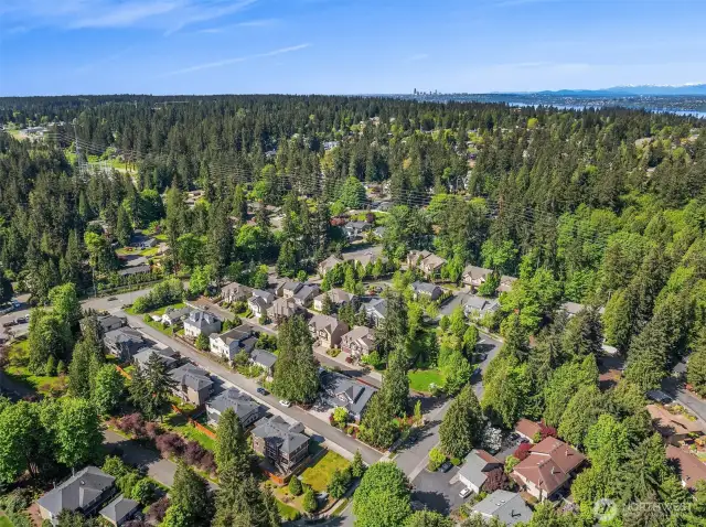 Minutes to Downtown Redmond & Kirkland