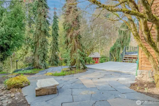 Backyard