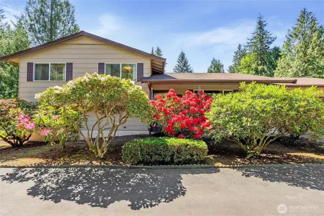 Flowering shrubs from the front of your house to the back