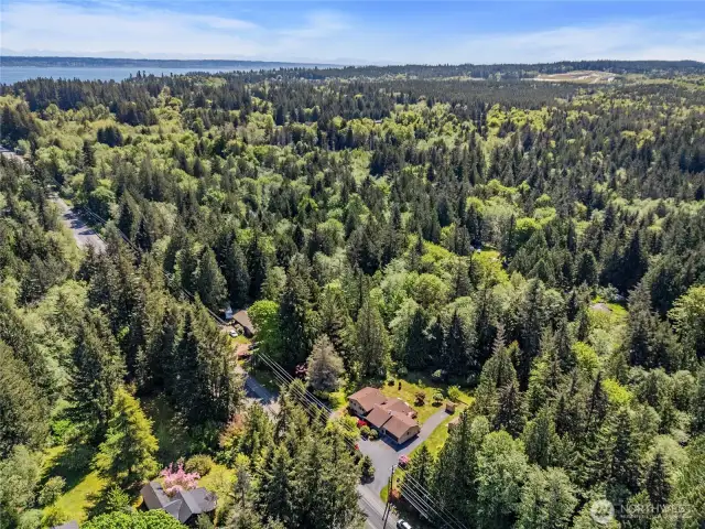 So very conveniently located in an area where trees are valued.  The high school and middle school are just down the street and the ferry terminal a bit further
