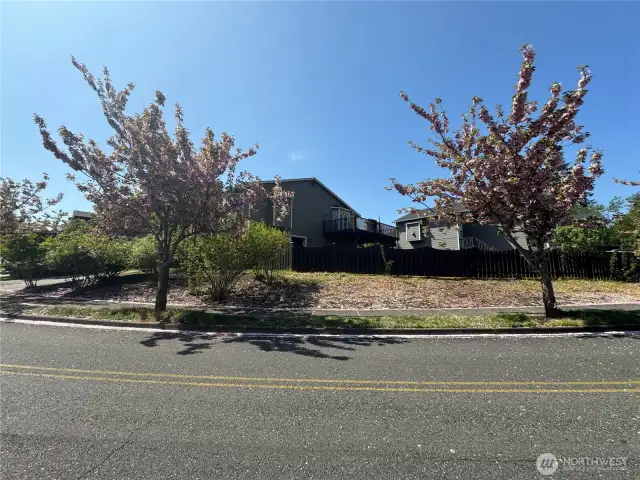 Large corner lot in Lake Stevens School District