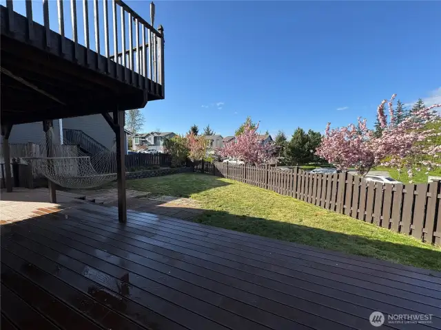 Big lot, fully fenced!