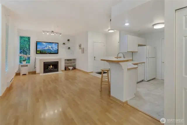 Living and Kitchen