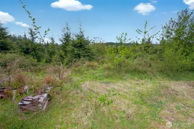 Acreage