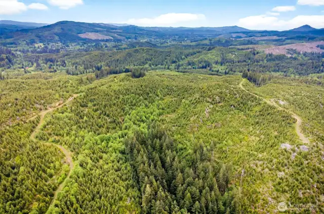Aerial View of property