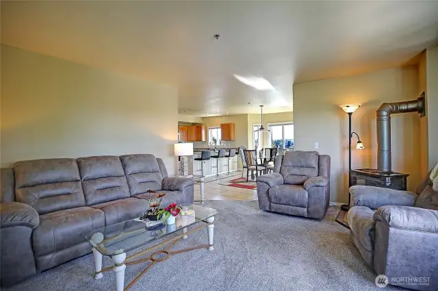Nat Gas Fireplace for Efficient Heat~