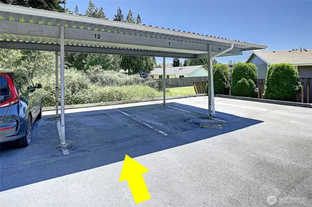 Dedicated Parking Space, Plus Plenty of Uncovered Spaces~