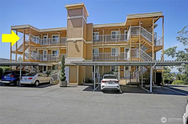 The Pick of the 12 Owner-Occupied* Units~