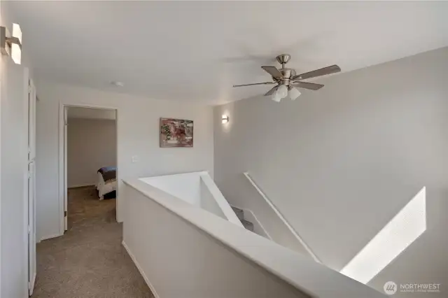So much natural light! Brand new fixtures & ceiling fan
