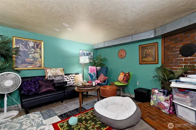 Lower level living area
