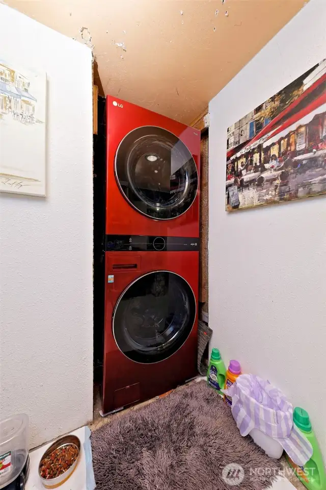 Lower level laundry