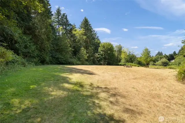 Don't miss looking at the community green space