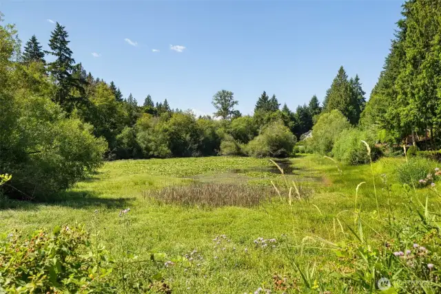Community pond area