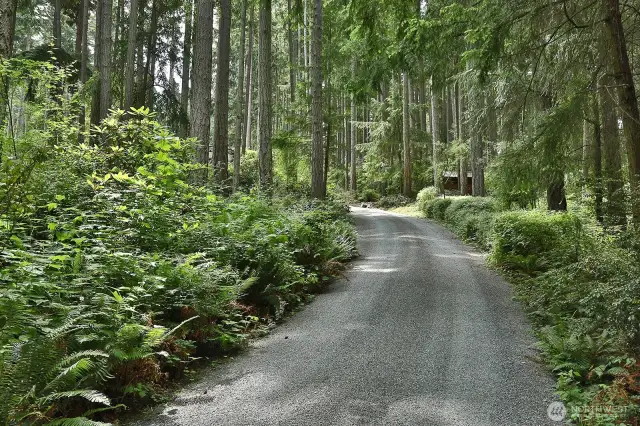 The arrival/drive into your home is part of the beauty of this home. Feel yourself exhale before you even arrive at your house.
