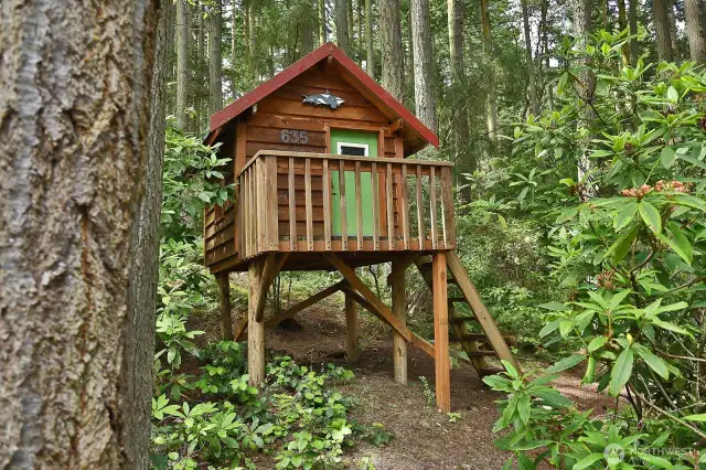 There's even a sweet playhouse tucked on the edge of the forest!