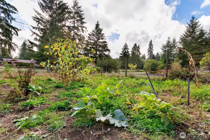 The 1000 ft garden space with animal shed is waiting for you!