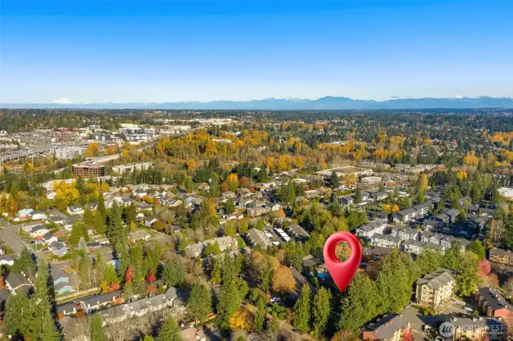 Lush, park-like setting.