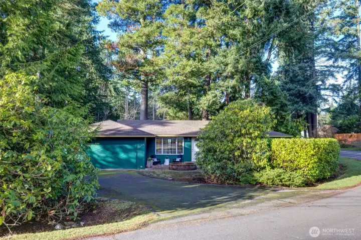 Tucked away on an idyllic tree-lined street, this one level Richmond Highlands home is the perfect answer for first time buyers, downsizers or investors.
