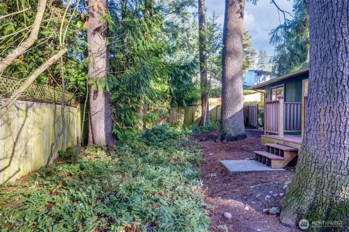 Privacy abounds!  The lot is 7000+ square feet and provides year round entertainment in the form of nature at her very best!