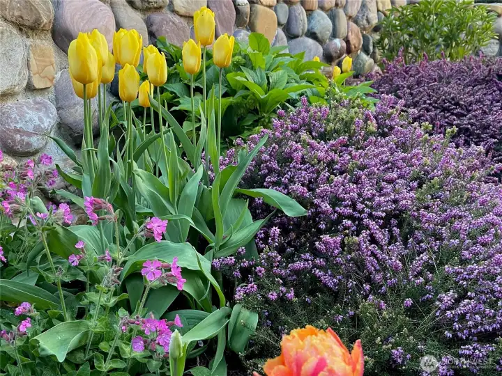 Many flower varieties blooming in the gardens surrounding this stunning home