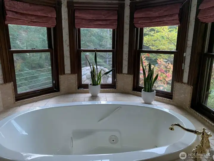 Grand soaking tub in primary bath