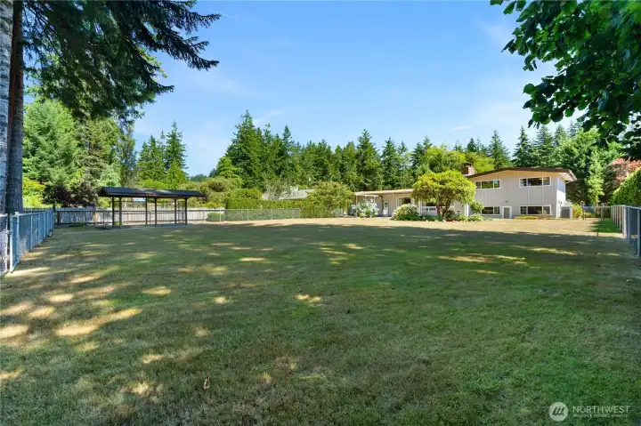 Did I mention how large the backyard is!!!!!