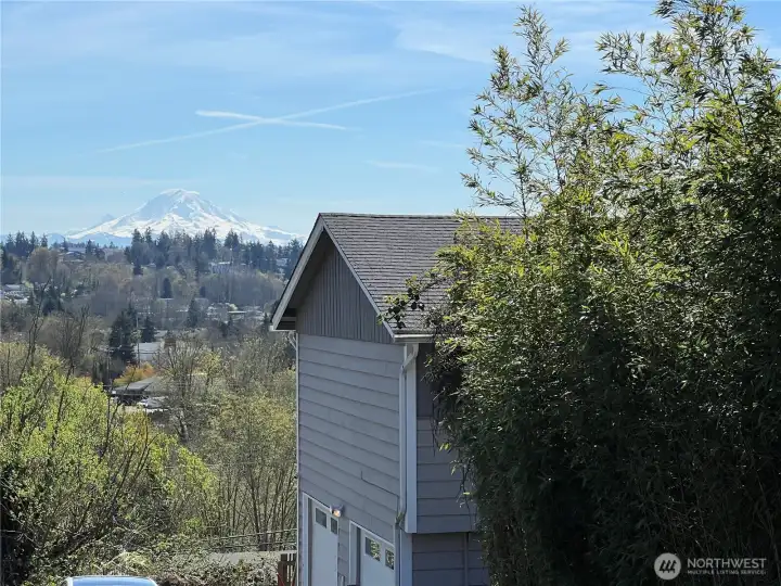 Mount Rainer view from top of driveway.