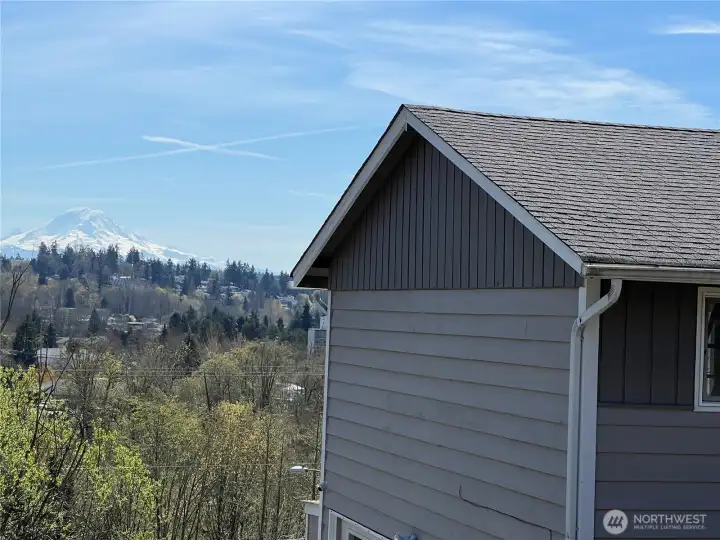 Another shot of Mount Rainier view.