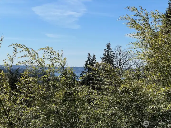 Partial Puget Sound view from deck.