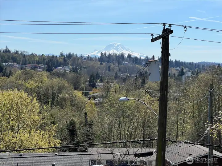 View from sauna. Sauna is located in the rear of the house, next to the garage.