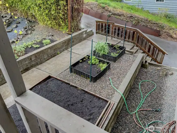 Raised bed garden.