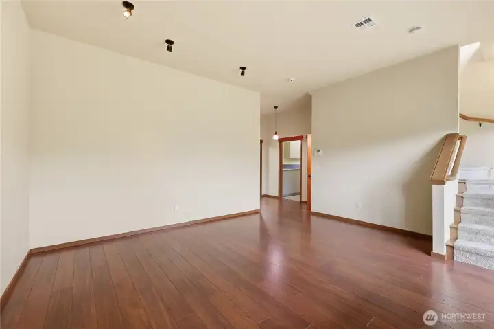 Lower level Living Room