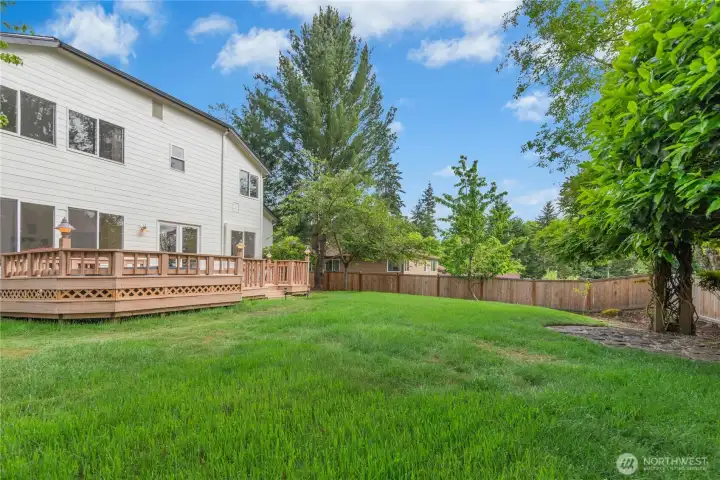 Spacious backyard offering privacy & outdoor enjoyment