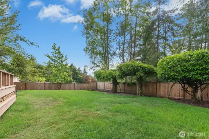 Private fully fenced backyard perfect for entertaining