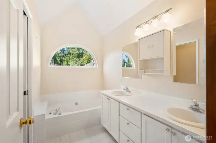 Nice large tub. All that is missing is hot water and bubbles!