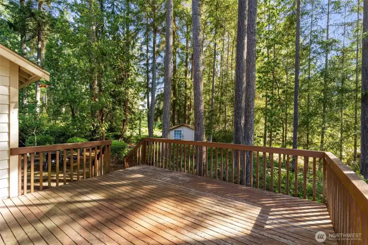 Large wood deck for gatherings or quiet morning coffee