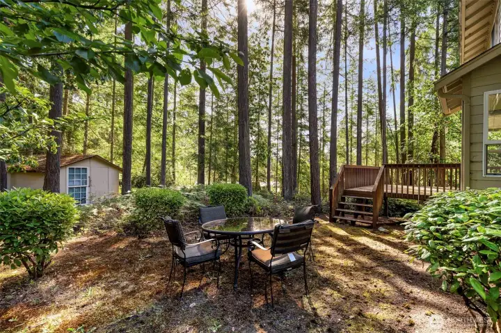 Private nature filled backyard