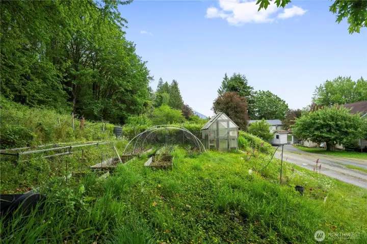Concrete View lot facing East to green house, views to the right SOUTH