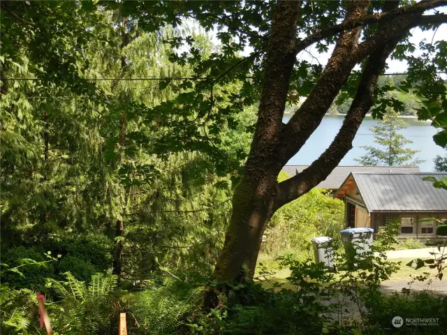 Lot is heavily Treed & Brush, but this is the Filtered View, but Clear the Lot and Wow!!! Perfect Daylight basement Lot... Must get Address Changed to the best access off BARBARY Cul-de-sac!