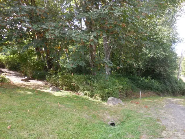 This is Taken from the Bottom of the Lot off what is the Current Address of 151 Bahama Dr... this is NOT the access you want to building site.. View is to the right, very heavily treed with Maple and Alder, Oh a few Blackberry's... which are VERY GOOD by the way!!