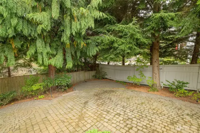 Peaceful rear yard.