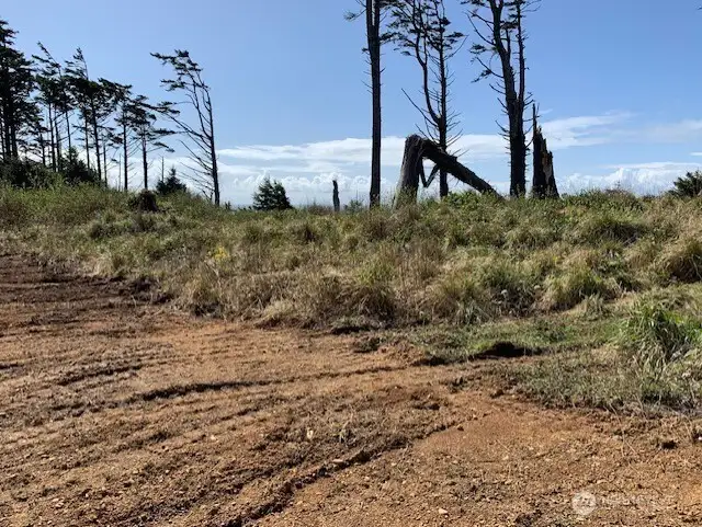 Back area of building site has been left natural to the bluff.