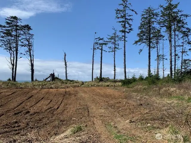 Plenty of room to build your dream home!